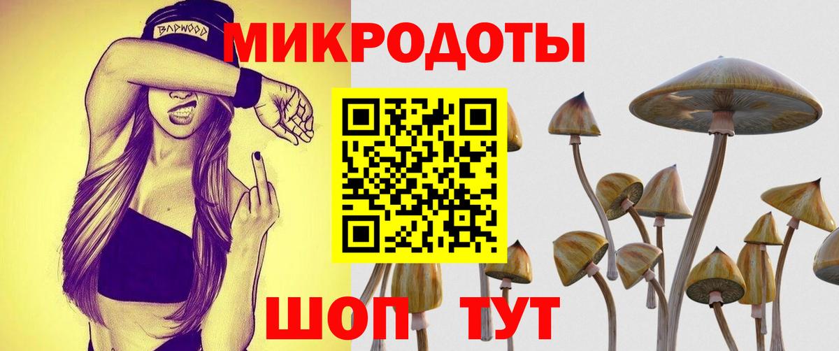 Псилоцибиновые грибы Cubensis Уссурийск